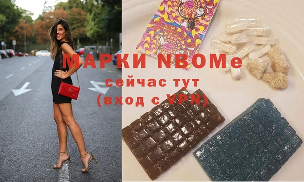 амф Новозыбков