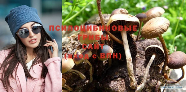 амф Новозыбков