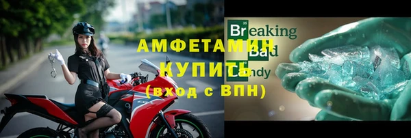 амф Новозыбков