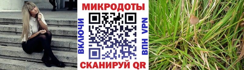 магазин продажи наркотиков  Великий Новгород  Псилоцибиновые грибы Psilocybe 