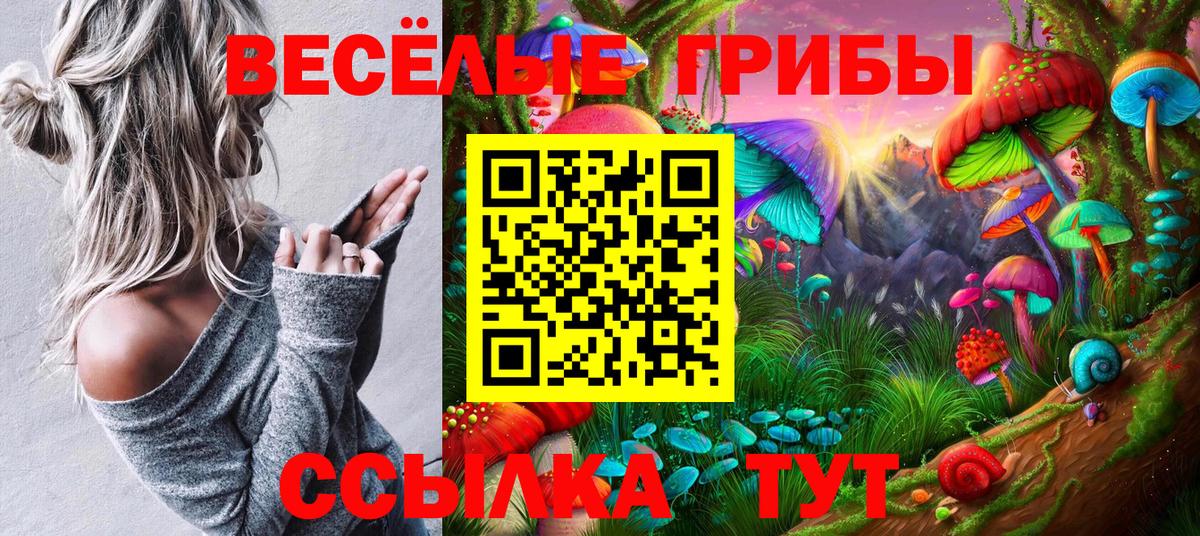 Псилоцибиновые грибы мухоморы Великий Новгород