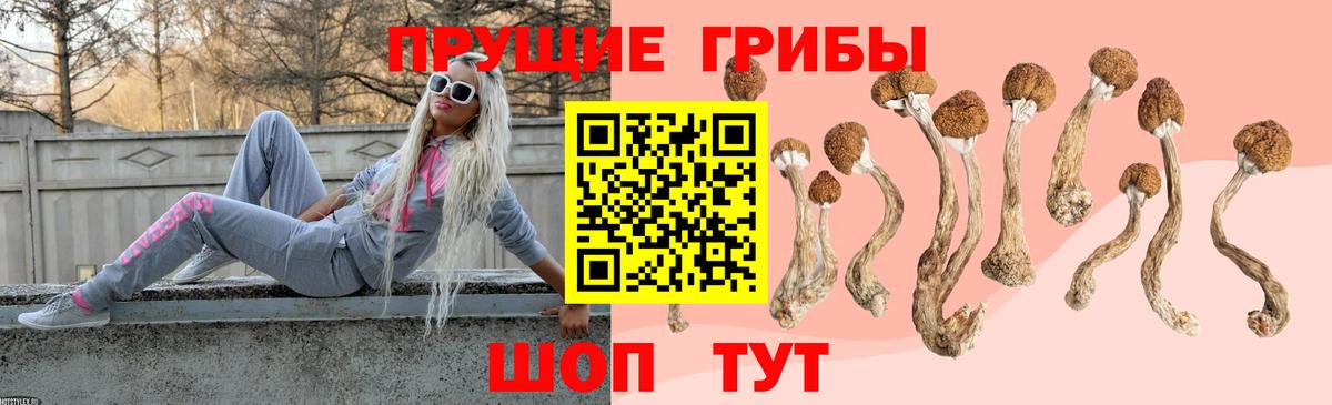 Псилоцибиновые грибы мухоморы  Вход с VPN  Великий Новгород  Псилоцибиновые грибы прущие грибы 